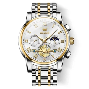 OLEVS 2859 Mens Watches Chronograph Dress Wrist Watch Waterproof Luminous Function